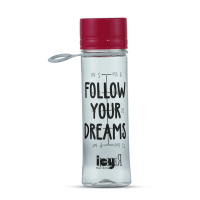 Sprint Water Bottle 650 ML-Assorted