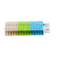Laundry Clips 30 Pcs Set - Assorted